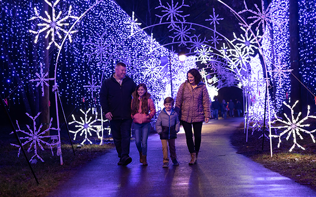Pigeon Forge Winterfest lights along a winter street display